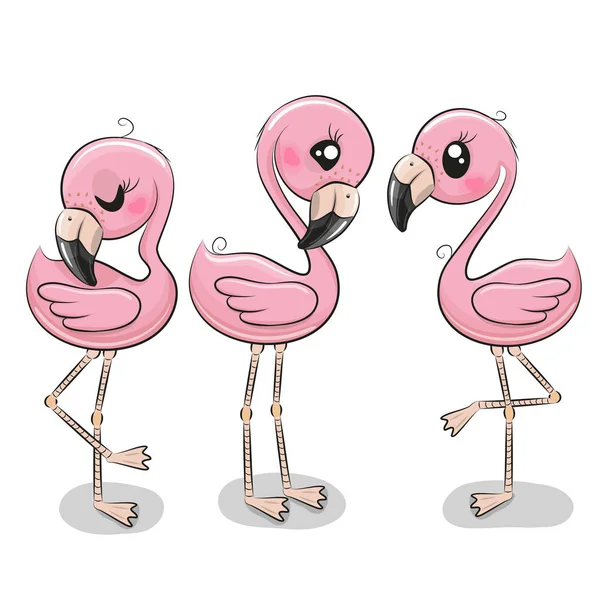 Set Three Cute Cartoon Flamingos White Background — Stock Vector