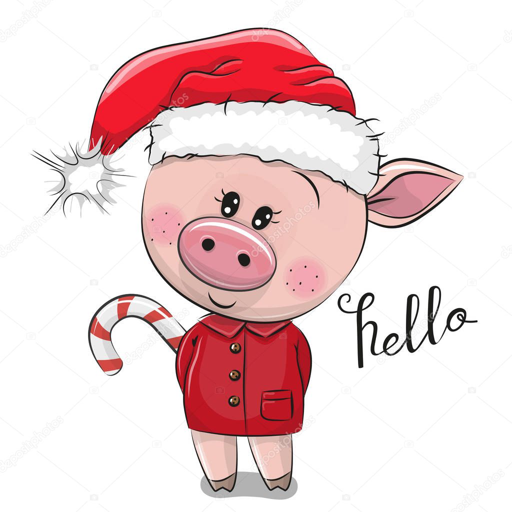 Cute Cartoon pig in Santa hat on a white background