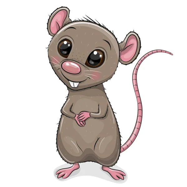 Cute Cartoon Rat Terisolasi Pada Latar Belakang Putih - Stok Vektor