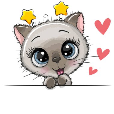 Sevimli siames yavru kedi