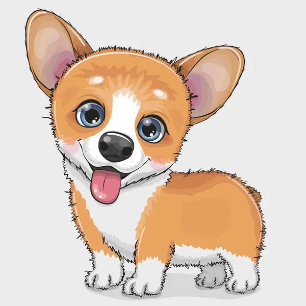 Bonito desenho animado Dog Corgi — Vetor de Stock