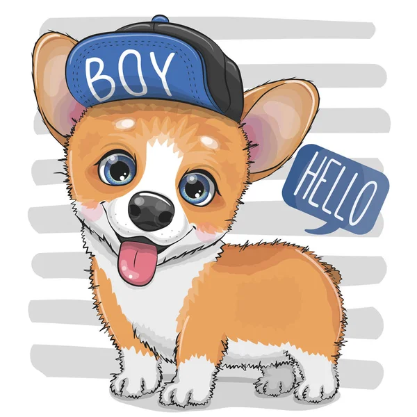 Cartoon Dog Corgi dans une casquette — Image vectorielle