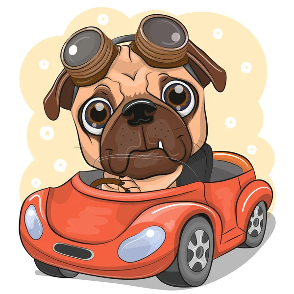 Desenhos animados Pug Dog menino em óculos vai em um carro vermelho — Vetor de Stock