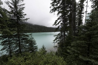 Emerald göle Yoho Milli Parkı