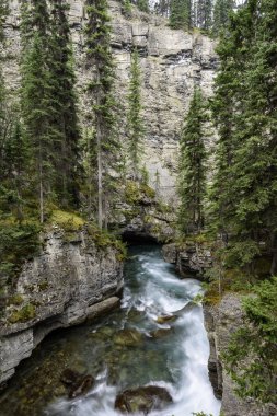 Kanada'da maligned Kanyon