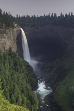 kuyuları Kanada il park gri