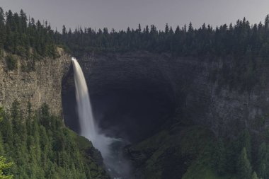 kuyuları Kanada il park gri