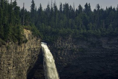 kuyuları Kanada il park gri