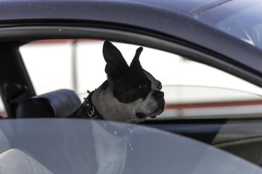 british Columbia manzara