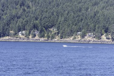 Kanada Pasifik Okyanusu'nda