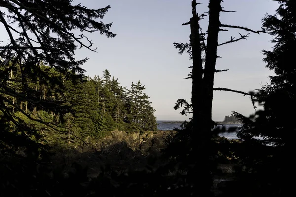 カナダの環太平洋地域の公園 — ストック写真