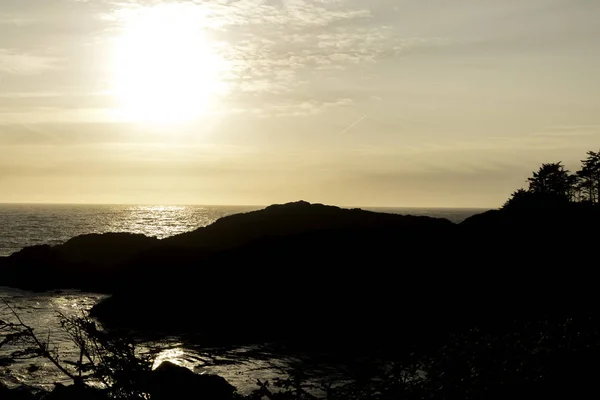 Pacific Rim Park Canada — Stock Photo, Image