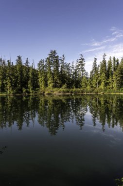 Kanada Vancouver Adası
