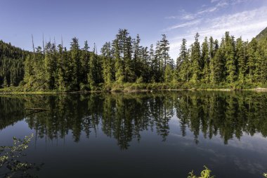 Kanada Vancouver Adası