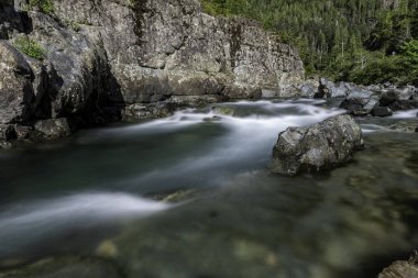 Kanada Vancouver Adası