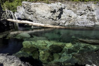 Kanada Vancouver Adası