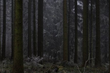 gustav adolf Stabkirche Almanya