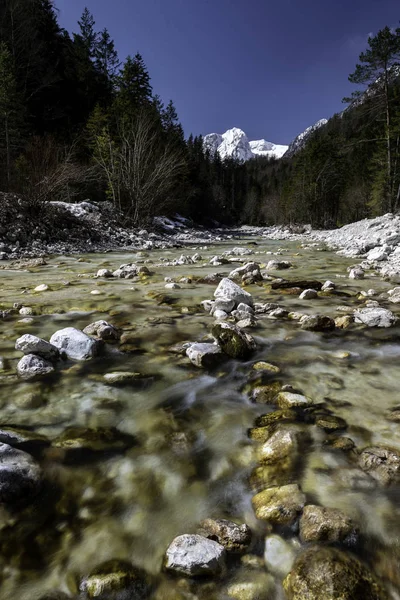 Naturaleza Eslovenia — Foto de Stock