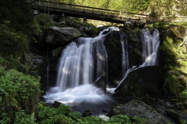 Almanya'da triberg şelaleler