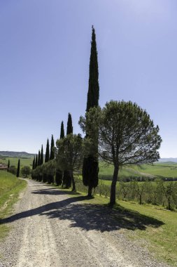tepeler Toskana