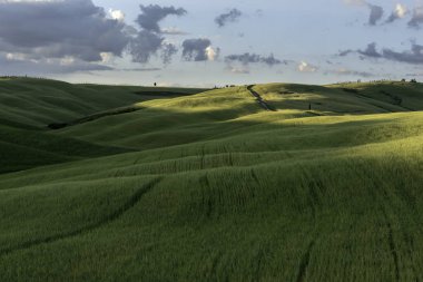 İtalya Tuscany'de