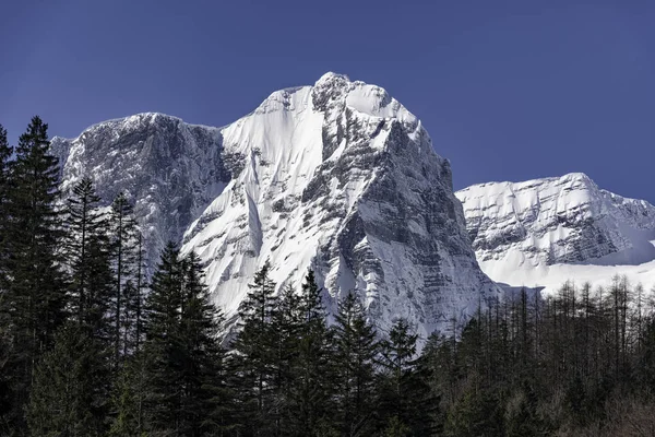 Doğa Slovenya — Stok fotoğraf