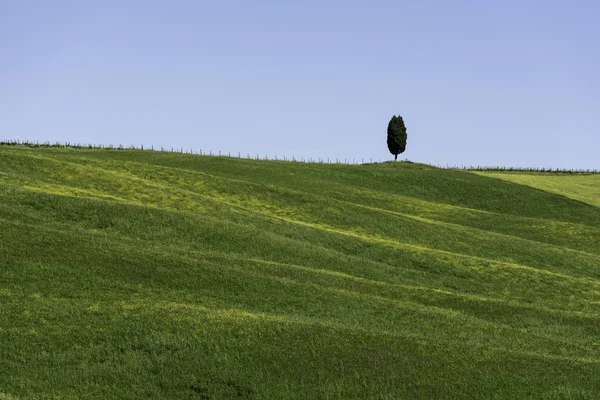 Rolling Hills Tuscany — Stock Photo, Image