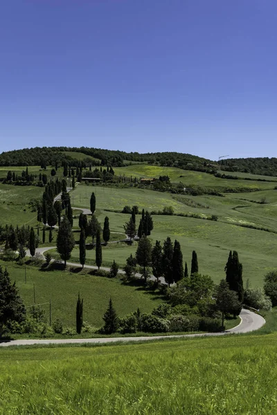 Toscana Italia — Foto de Stock