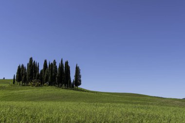 İtalya Tuscany'de