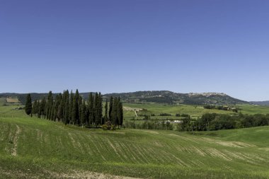 İtalya Tuscany'de