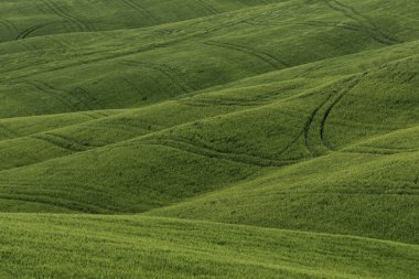 İtalya Tuscany'de