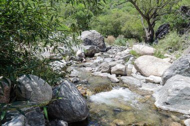 Cordoba Arjantin 'deki dağ nehri