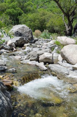 Cordoba Arjantin 'deki dağ nehri