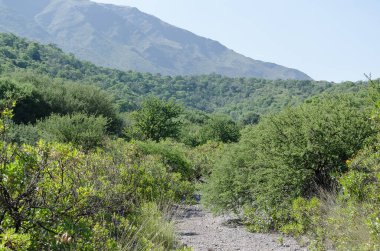 Cordoba Arjantin 'deki büyük dağlar.