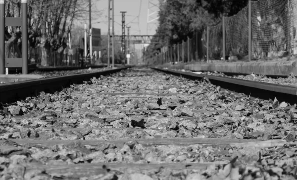 Fekete Fehér Vasúti Sínek — Stock Fotó