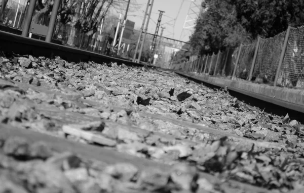 Siyah Beyaz Tren Rayları — Stok fotoğraf