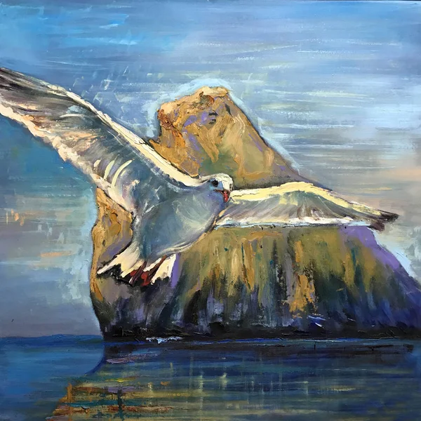 Grande Uccello Bianco Vola Attraverso Cielo Ali Spalancate Gabbiano Mare — Foto Stock