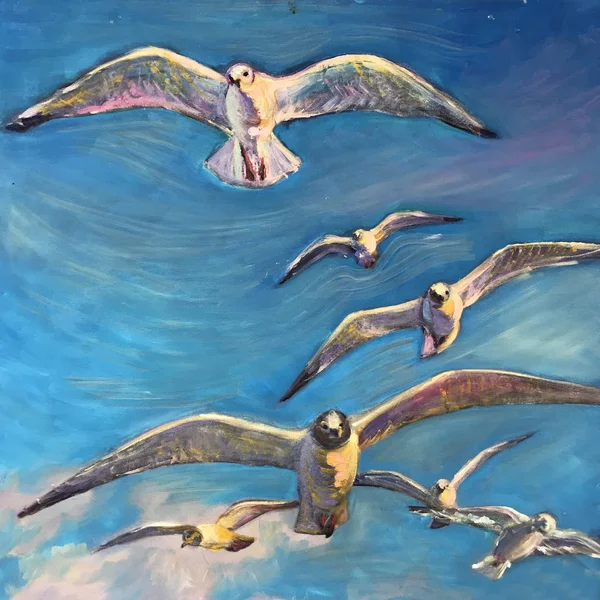 Великі Білі Птахи Літають Небу Широкі Відкриті Крила Морський Мартин — стокове фото