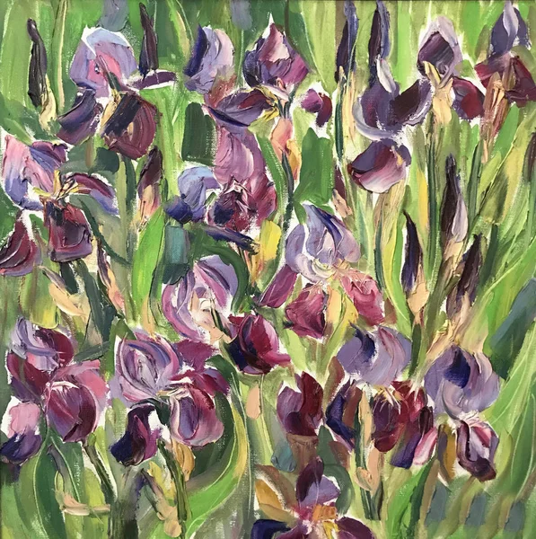 Ritning av solig dag, blossom Iris — Stockfoto