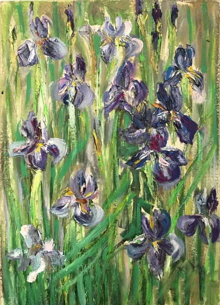 Drawing bright irises, wild summer spring field