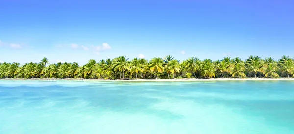 Amazing sandy beach with coconut palm trees and blue sky. Caribbean Sea coast — Stock Photo, Image
