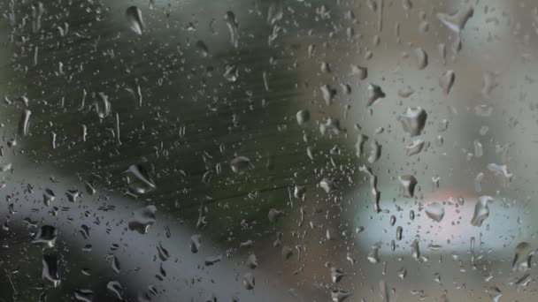 Chuva. As gotas de chuva escorregam pelo vidro. Tempo de Dreary . — Vídeo de Stock