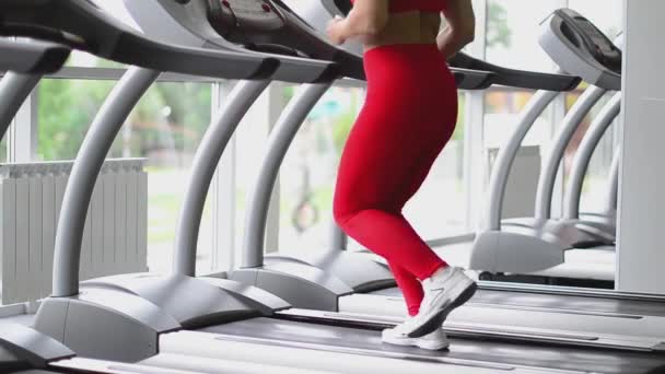迷人的年轻女运动员正在体育馆锻炼。在跑步机上做有氧训练。在跑步机上跑步. — 图库视频影像