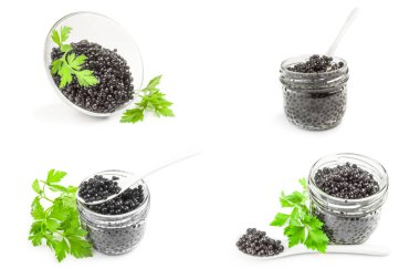 Beyaz bir kesim üzerinde izole beluga karaca grubu