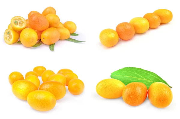 Beyaz bir kesim üzerinde izole kumquats koleksiyonu — Stok fotoğraf