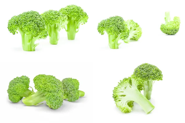 Collection of broccoli cabbage isolated on white — Stock Photo, Image