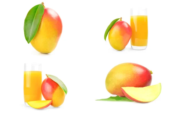 Group of mango red on a white background clipping path