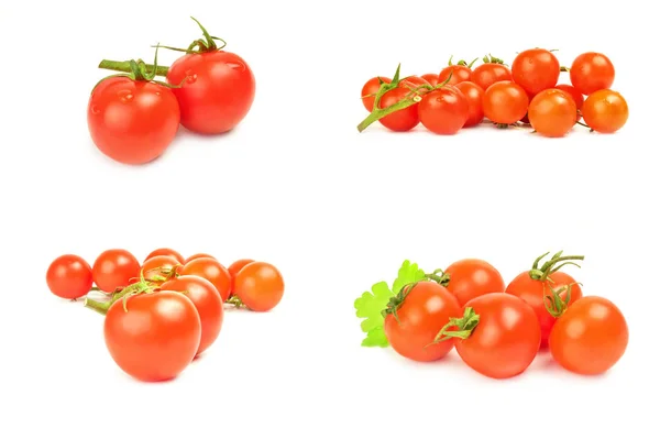 Colagem de tomates isolados em branco — Fotografia de Stock