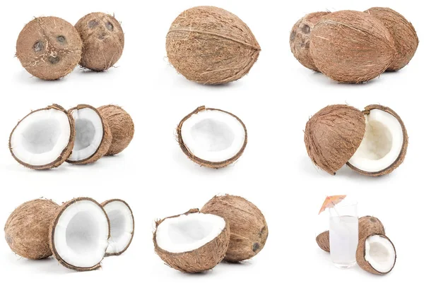 흰색 배경 컷 아웃에 코코넛의 컬렉션 — 스톡 사진
