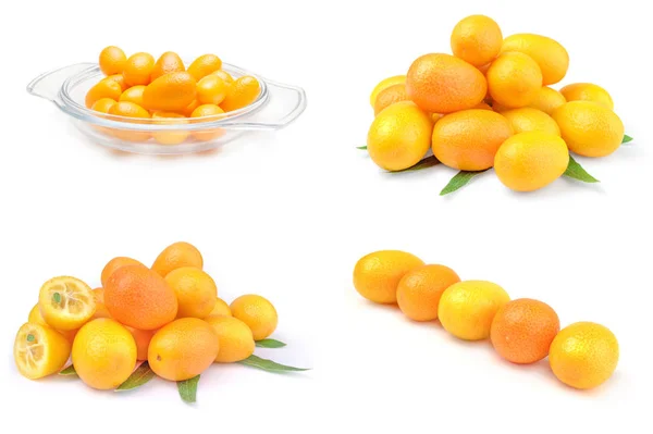 Collage van kumquats — Stockfoto